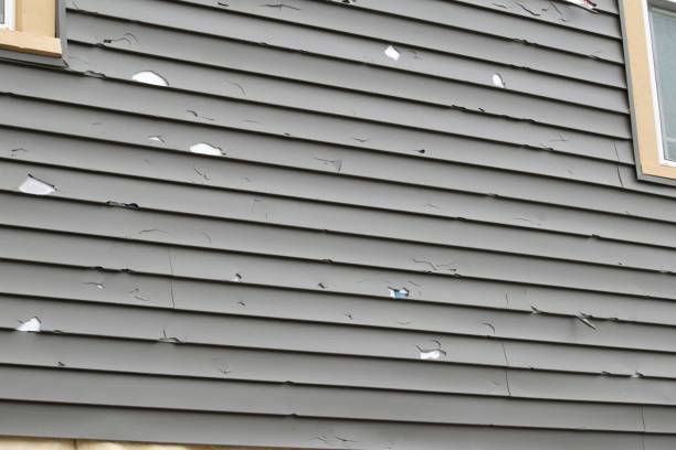 Best Shed Removal  in Inman, SC